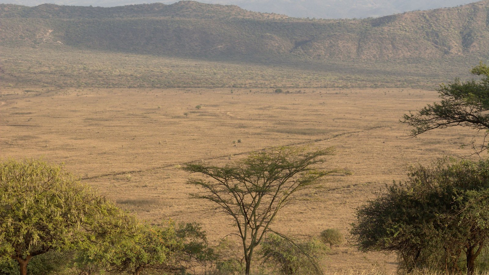 Nechisar National Park