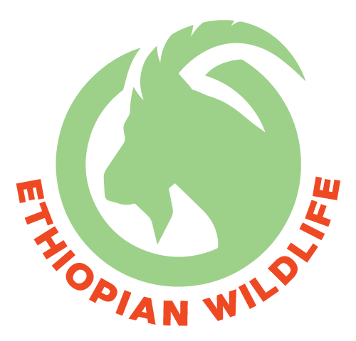 Ethiopian Wildlife logo full