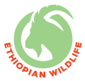 Ethiopian wildlife logo